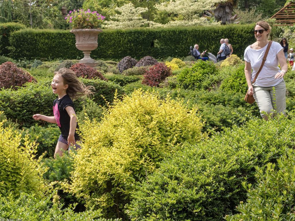 ការ​វាយ​តម្លៃ​ហ្គេម​អនឡាញ: របៀប​បង្កើន​គុណភាព​នៃ​ការពិនិត្យ